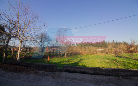 Terreno Agrícola em Escariz S. Mamede