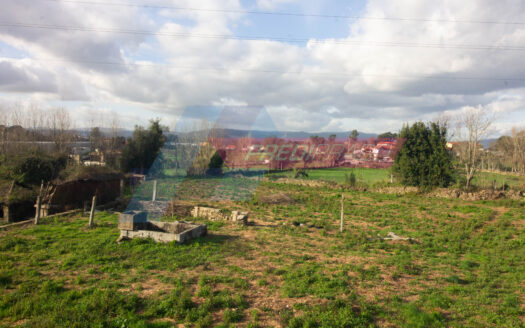 Terreno com 7000m² em Adaúfe